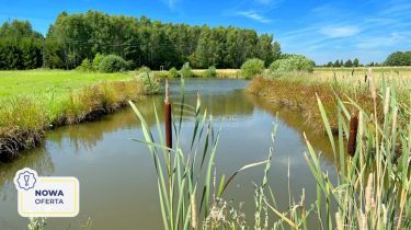 Działka siedliskowa 8,04 HA