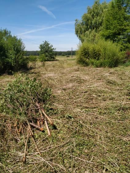 Wymysłów, 360 000 zł, 64 m2, do remontu kapitalnego miniaturka 4