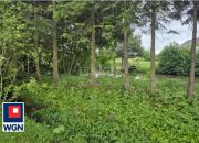 Stara Huta, 343 000 zł, 121 m2, wolnostojący miniaturka 8