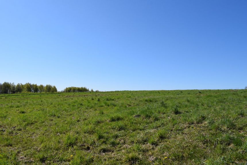 Działka 35.6a pod rekreację w miejscowości Wydrna miniaturka 7