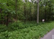 Golcowa - działka leśna o pow. 47 arów miniaturka 3