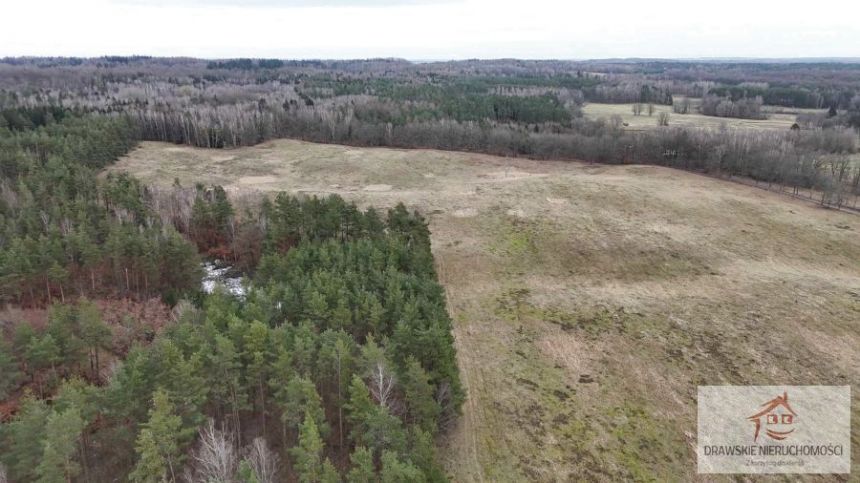 Prosino, 1 985 000 zł, 55.37 ha, rolna miniaturka 7