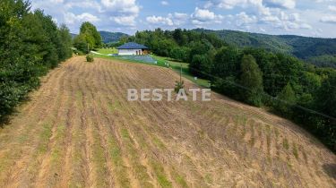 Działka budowlana, widokowa w Paleśnicy