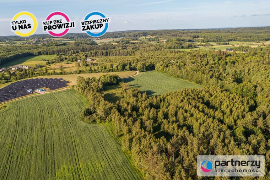 Nowy Wiec, 250 000 zł, 2.29 ha, przyłącze prądu miniaturka 6