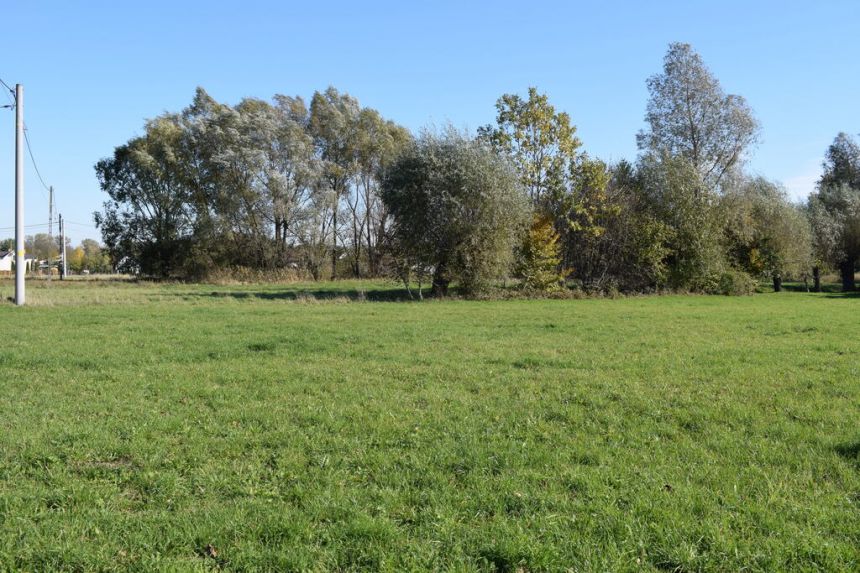 Działka 23a pod zabudowę- Wysoka koło Łańcuta miniaturka 4
