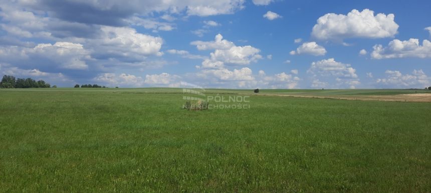 Dzaiłka rolna. Dobrzyniewo Kościelne. miniaturka 4