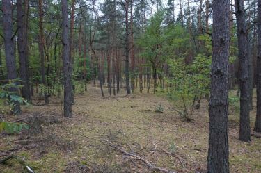 Działka budowlano rekreacyjna Augustówek, Czosnów