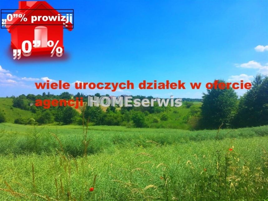 2 działki z piękną panoramą okolicy, 75zł/m2 - zdjęcie 1