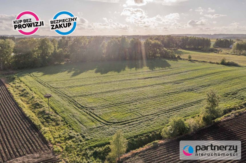 Bojano, 417 120 zł, 12.64 ar, droga dojazdowa gruntowa miniaturka 4