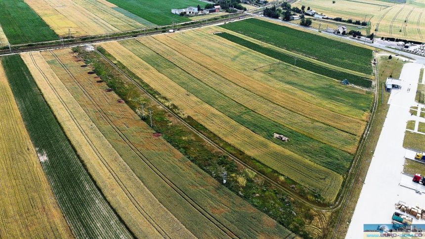 Kotunia, 650 000 zł, 85 ar, rolna miniaturka 9