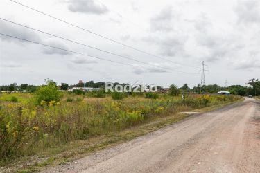 Kruszyn 38 000 zł 1.87 ha