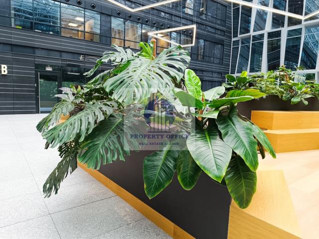 Wola: handel/usługi 105,64 m2 miniaturka 9