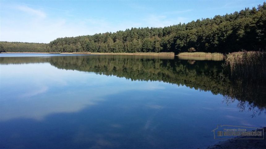 Działka pod lasem w pobliżu jeziora miniaturka 11