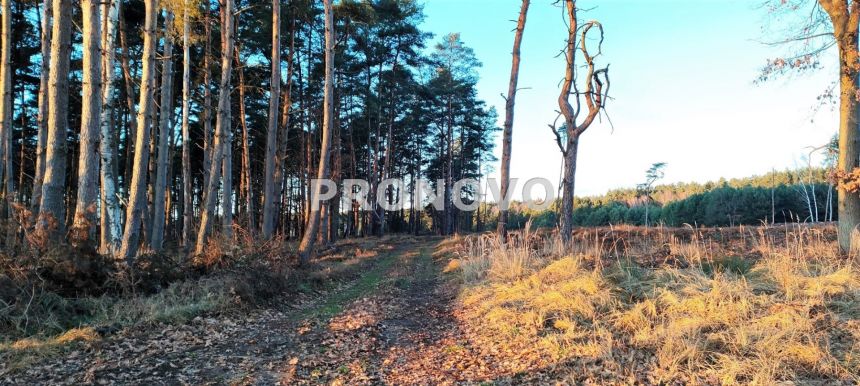 Nieruchomość gruntowa Szczecin Wielgowo Żywiczna miniaturka 2