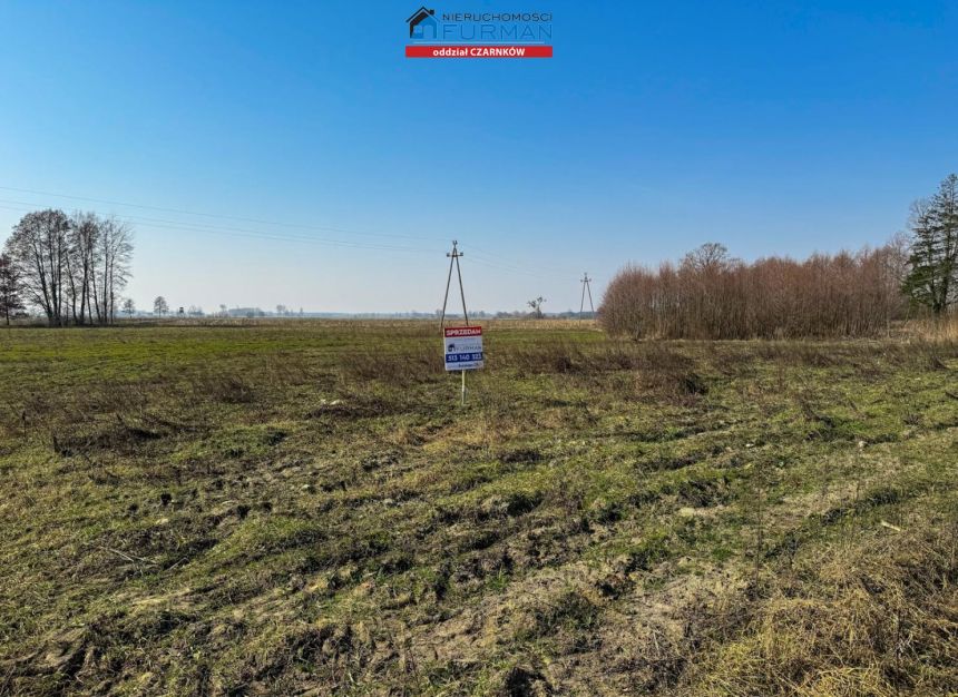 Siedlisko, 99 000 zł, 30.5 ar, woda w drodze - zdjęcie 1
