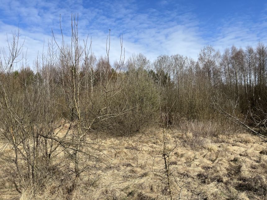 Działka o pow. 2,08 ha w m. Kawęczyn gm. Ciepielów miniaturka 3