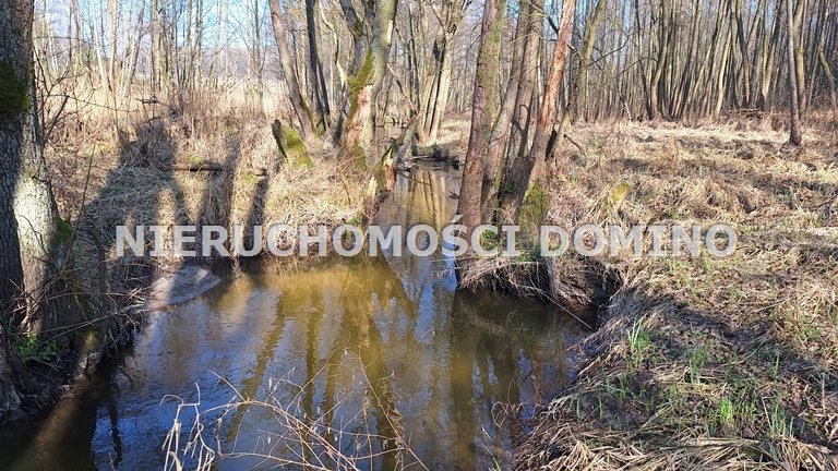 Bronowice, 218 000 zł, 68 ar, rolna z prawem zabudowy miniaturka 17