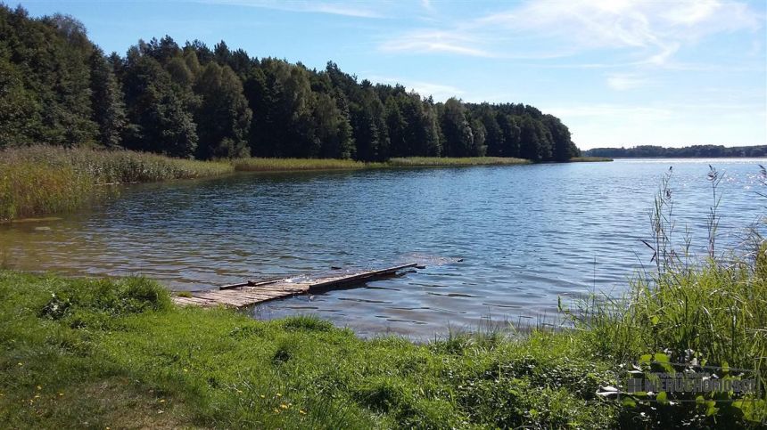 Działka pod lasem w pobliżu jeziora miniaturka 8