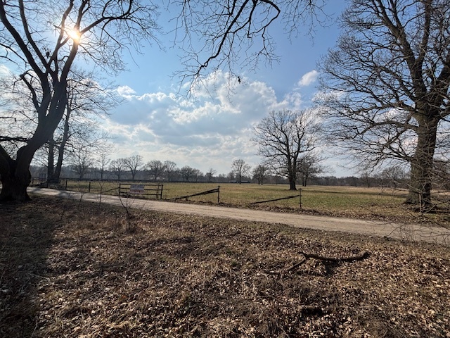Działka 3,74 ha 30 km od Warszawy, rzeka, las miniaturka 15