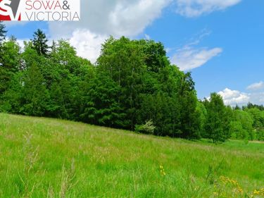 Działka budowlana 3 km od Wałbrzycha