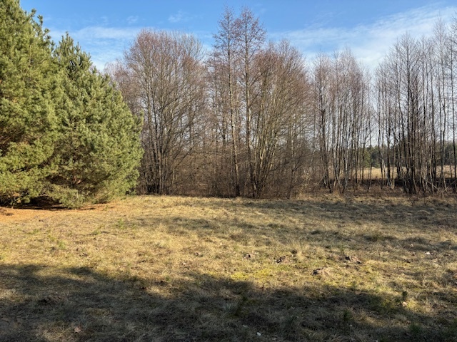 Działka budowlana niedaleko Bugu - Arciechów miniaturka 3