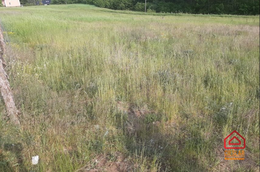 Urokliwie położona działka w pobliżu Natura 2000 miniaturka 5