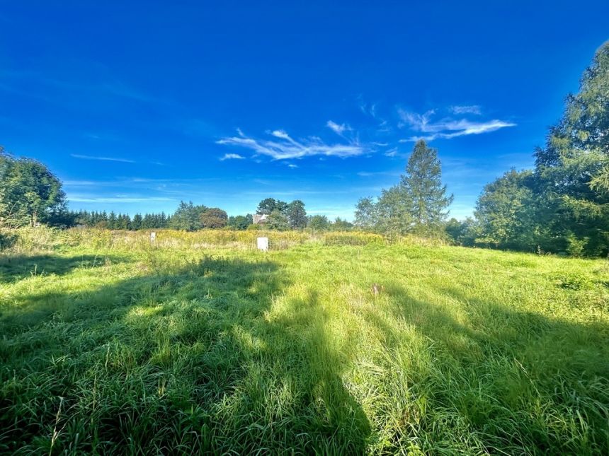 Widokowa działka w Kostrzycy gmina Mysłakowice. miniaturka 3