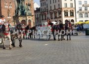 świętego Jana, 3 pokojowe mieszkanie Okazja miniaturka 15