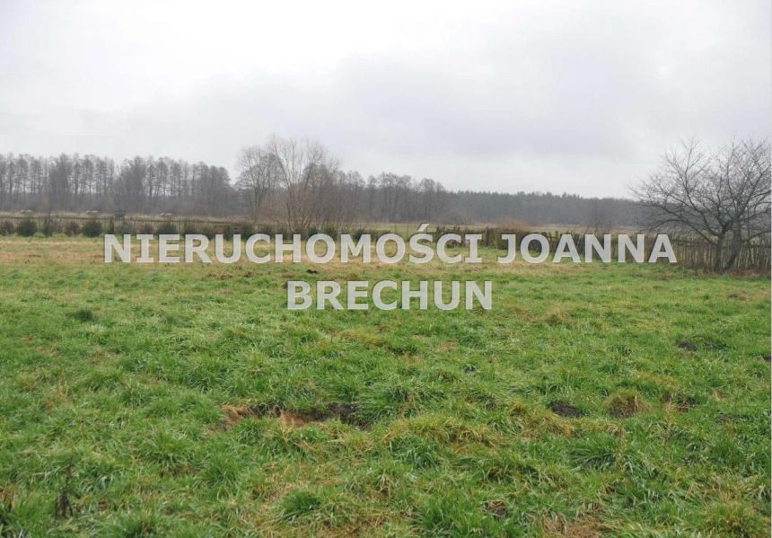 Górowo / w zabudowanej okolicy miniaturka 3