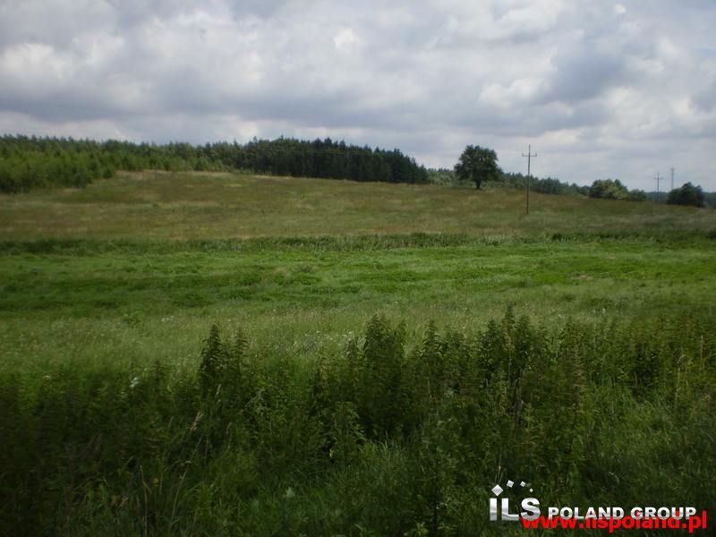 Lisie Pole, 320 000 zł, 2.32 ha, rolna miniaturka 3