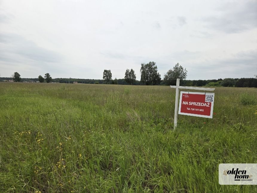 Drużyna, 185 000 zł, 8.03 ar, przyłącze prądu miniaturka 4
