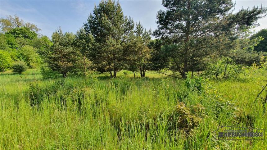 DZIAŁKA BUDOWLANA OK. 200 m OD JEZIORA PILE. miniaturka 11