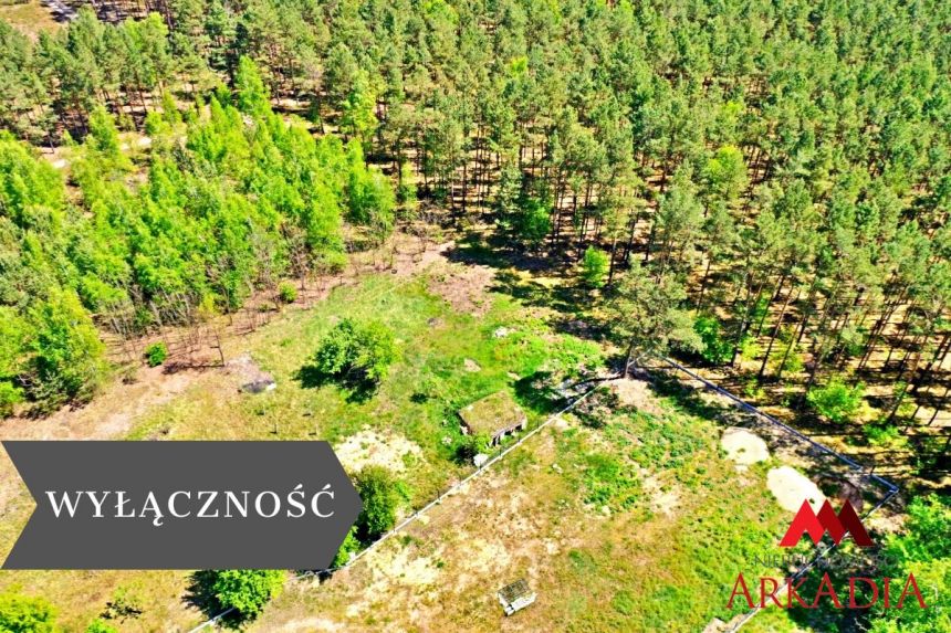 Działka w otoczeniu lasu/Powiat Włocławek - zdjęcie 1