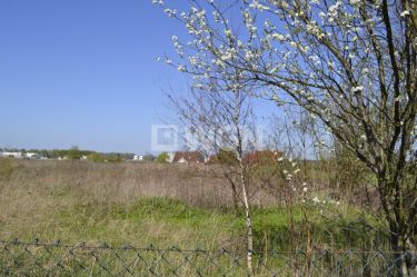 Stanowice, 462 000 zł, 77.12 ar, zalesiona