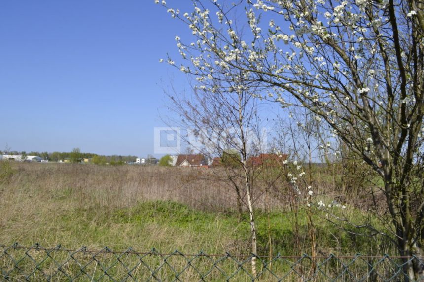 Stanowice, 462 000 zł, 77.12 ar, zalesiona - zdjęcie 1