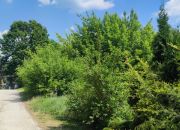 Wiktorów, 690 000 zł, 19 ar, woda w drodze miniaturka 6