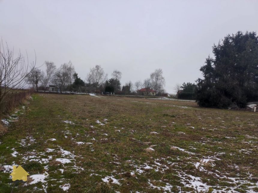 Dziuchów 140 000 zł 10 ar miniaturka 3