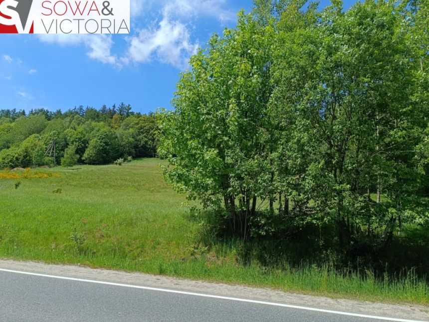 Działka budowlana, 3 km od Wałbrzycha - Promocja! miniaturka 8