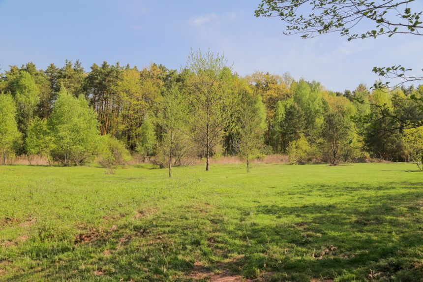 4 działki rolno-budowlane- Bielcza- Małopolska miniaturka 10