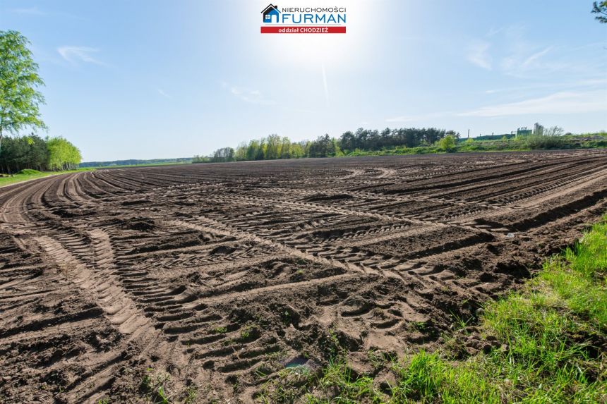 Na sprzedaż działka rolna w Budzyniu. miniaturka 2