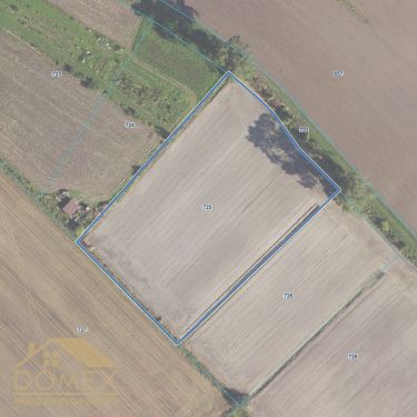 Duża działka rolna w zielonej okolicy!