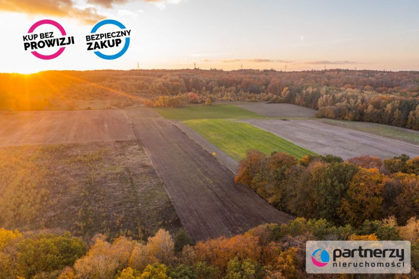 Buszkowy, 130 000 zł, 58 ar, rolna miniaturka 6