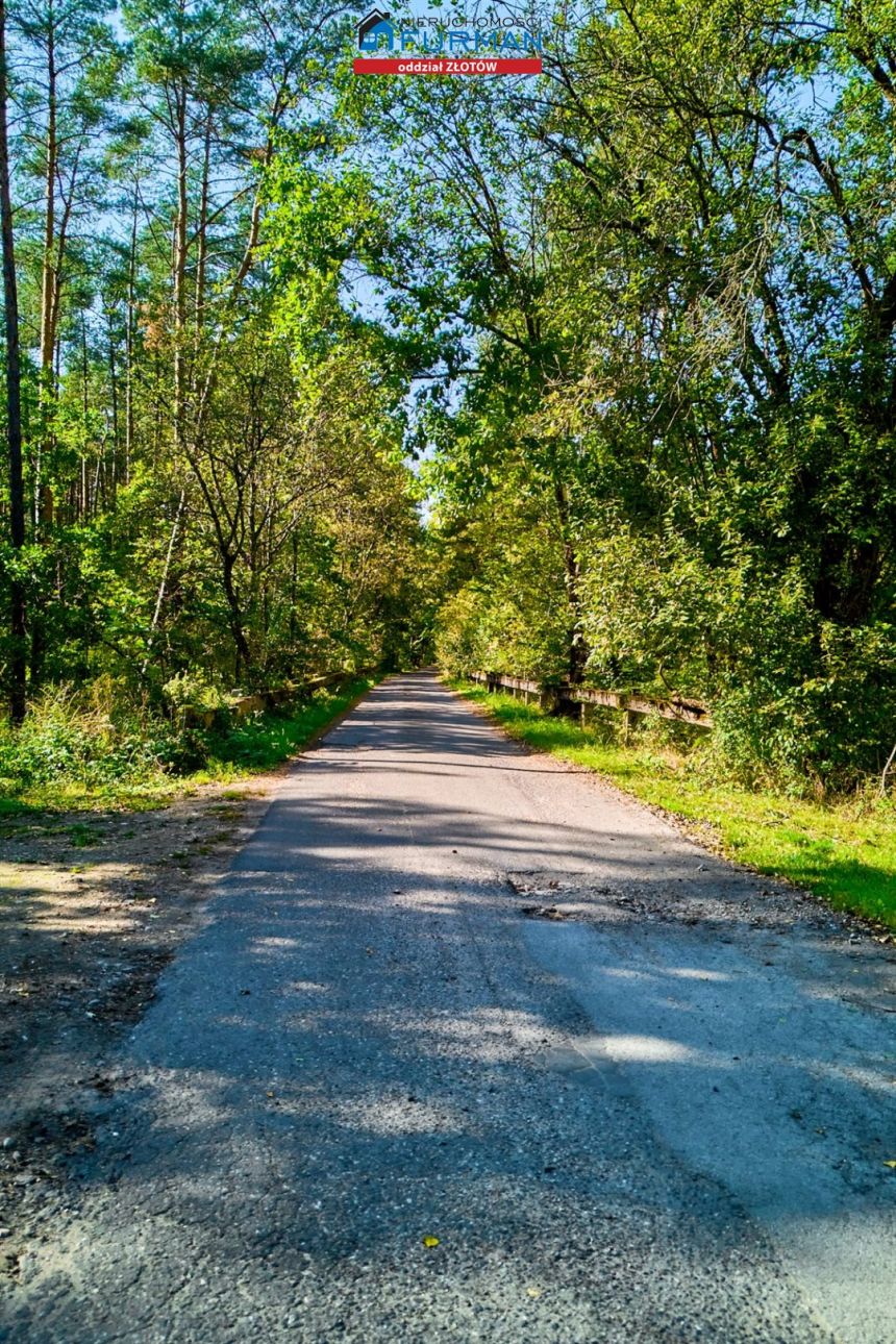 Działka pod agroturystykę przy rzece, Zabrodzie miniaturka 6