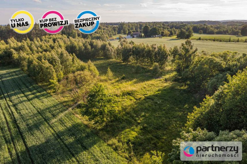 Nowy Wiec, 250 000 zł, 2.29 ha, przyłącze prądu miniaturka 9