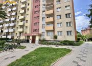 Malbork ul. Jasna, parter, 2 pokoje, 40 m2 miniaturka 7