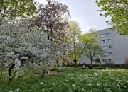3-pokojowe mieszkanie na Bielanach miniaturka 14