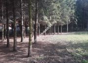 Atrakcyjna działka w Osowcu miniaturka 1