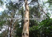 Podkowa Leśna, 1 850 000 zł, 23.13 ar, budowlana miniaturka 1