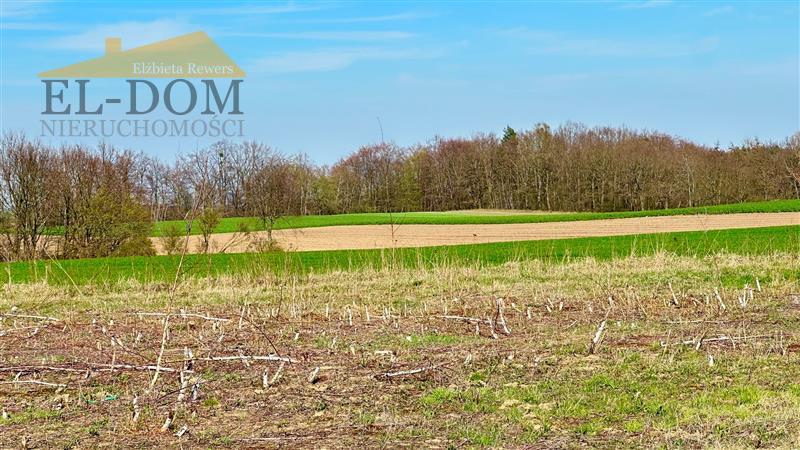 Działka budowlana - Połchowo miniaturka 5