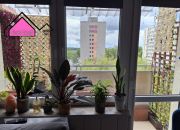 Konin, 249 000 zł, 36.55 m2, z balkonem miniaturka 10